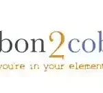 Carbon 2 Cobalt