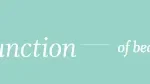 Function Of Beauty